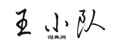 駱恆光王小隊行書個性簽名怎么寫