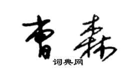 朱錫榮曹森草書個性簽名怎么寫
