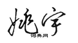 駱恆光姚宇草書個性簽名怎么寫