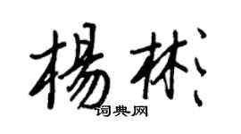 王正良楊彬行書個性簽名怎么寫