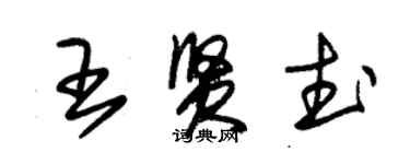 朱錫榮王賢武草書個性簽名怎么寫