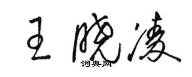 駱恆光王曉凌草書個性簽名怎么寫