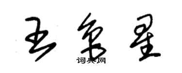 朱錫榮王魯星草書個性簽名怎么寫