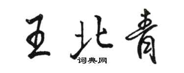 駱恆光王北青行書個性簽名怎么寫