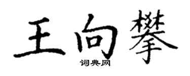 丁謙王向攀楷書個性簽名怎么寫