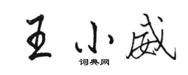 駱恆光王小威行書個性簽名怎么寫