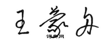 駱恆光王蒙舟草書個性簽名怎么寫