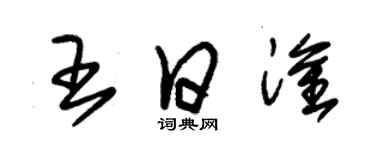 朱錫榮王日淦草書個性簽名怎么寫