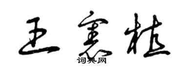 曾慶福王憲植草書個性簽名怎么寫