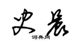 朱錫榮史晨草書個性簽名怎么寫