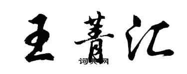 胡問遂王菁匯行書個性簽名怎么寫