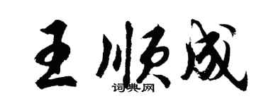 胡問遂王順成行書個性簽名怎么寫
