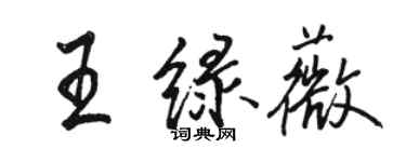 駱恆光王綠薇行書個性簽名怎么寫