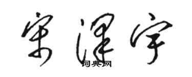 駱恆光宋澤宇草書個性簽名怎么寫