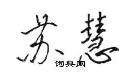 駱恆光蘇慧行書個性簽名怎么寫