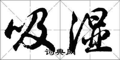 胡問遂吸濕行書怎么寫