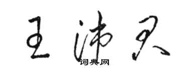 駱恆光王沛君草書個性簽名怎么寫