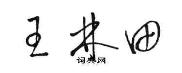 駱恆光王林田草書個性簽名怎么寫