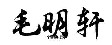 胡問遂毛明軒行書個性簽名怎么寫