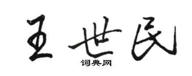 駱恆光王世民行書個性簽名怎么寫
