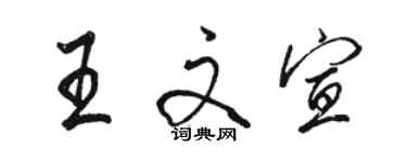 駱恆光王文宣行書個性簽名怎么寫