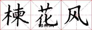 丁謙楝花風楷書怎么寫