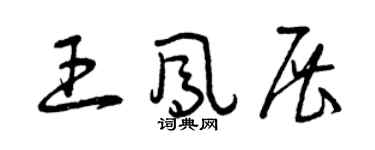曾慶福王鳳展草書個性簽名怎么寫