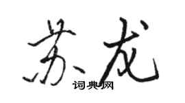 駱恆光蘇龍行書個性簽名怎么寫