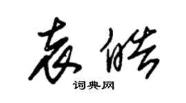 朱錫榮袁皓草書個性簽名怎么寫