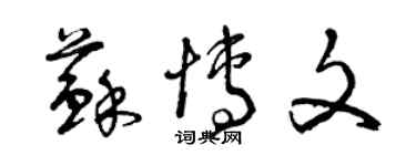 曾慶福蘇博文草書個性簽名怎么寫