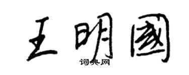 王正良王明國行書個性簽名怎么寫