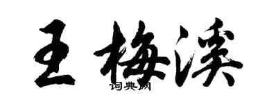 胡問遂王梅溪行書個性簽名怎么寫