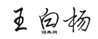 駱恆光王白楊行書個性簽名怎么寫