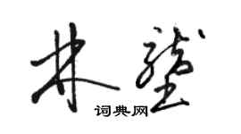 駱恆光林壟草書個性簽名怎么寫