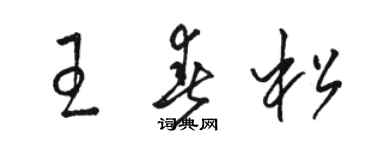 駱恆光王春松草書個性簽名怎么寫