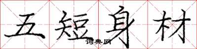龐中華五短身材楷書怎么寫