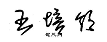 朱錫榮王培領草書個性簽名怎么寫