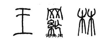 陳墨王綱林篆書個性簽名怎么寫