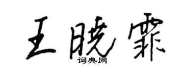 王正良王曉霏行書個性簽名怎么寫