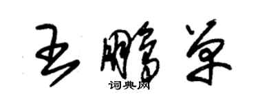 朱錫榮王鵬單草書個性簽名怎么寫