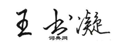 駱恆光王書凝行書個性簽名怎么寫