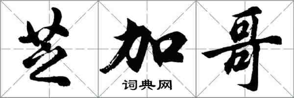 胡問遂芝加哥行書怎么寫