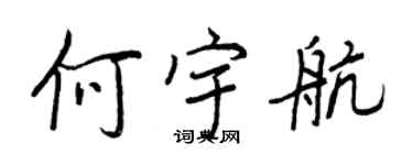 王正良何宇航行書個性簽名怎么寫