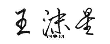 駱恆光王沫星行書個性簽名怎么寫