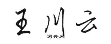 駱恆光王川雲行書個性簽名怎么寫