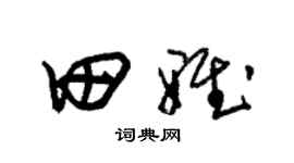 朱錫榮田雅草書個性簽名怎么寫