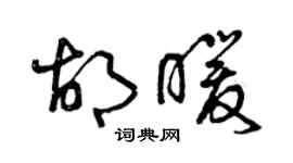 曾慶福胡暖草書個性簽名怎么寫