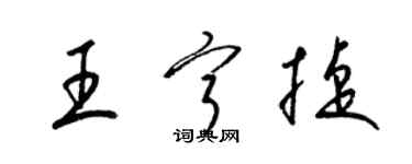 梁錦英王寧捷草書個性簽名怎么寫