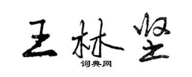 曾慶福王林堅行書個性簽名怎么寫