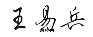 駱恆光王易兵行書個性簽名怎么寫